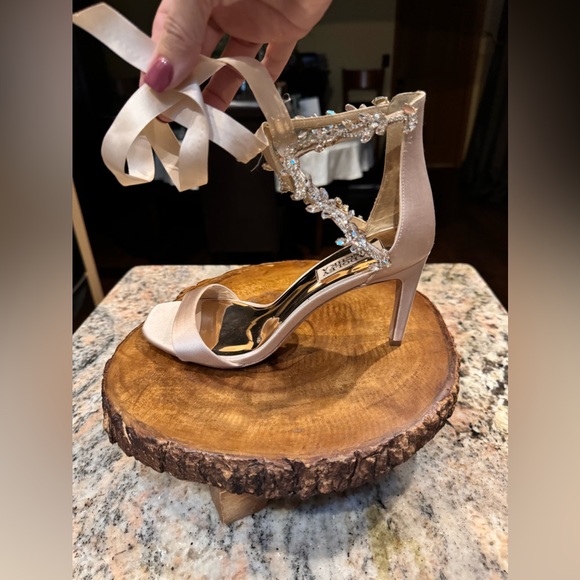 Badgley Mischka champagne heeled wedding / formal shoes. Box included - Picture 7 of 16